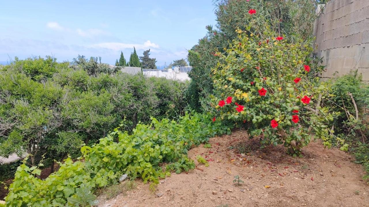 Stunning Villa With Pool, Table Tennis, Table Soccer And A Pool Table Naxxar Exteriör bild