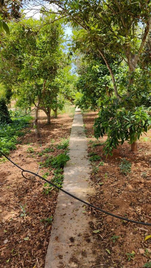 Stunning Villa With Pool, Table Tennis, Table Soccer And A Pool Table Naxxar Exteriör bild