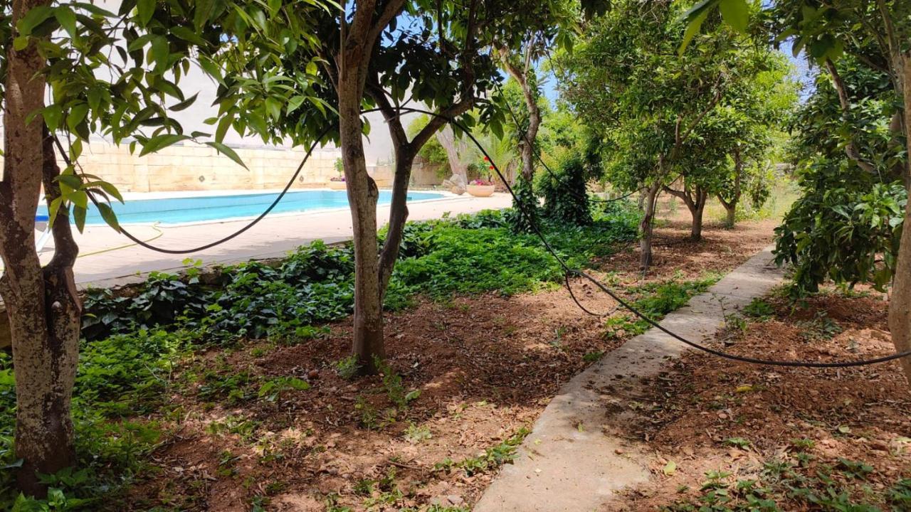 Stunning Villa With Pool, Table Tennis, Table Soccer And A Pool Table Naxxar Exteriör bild