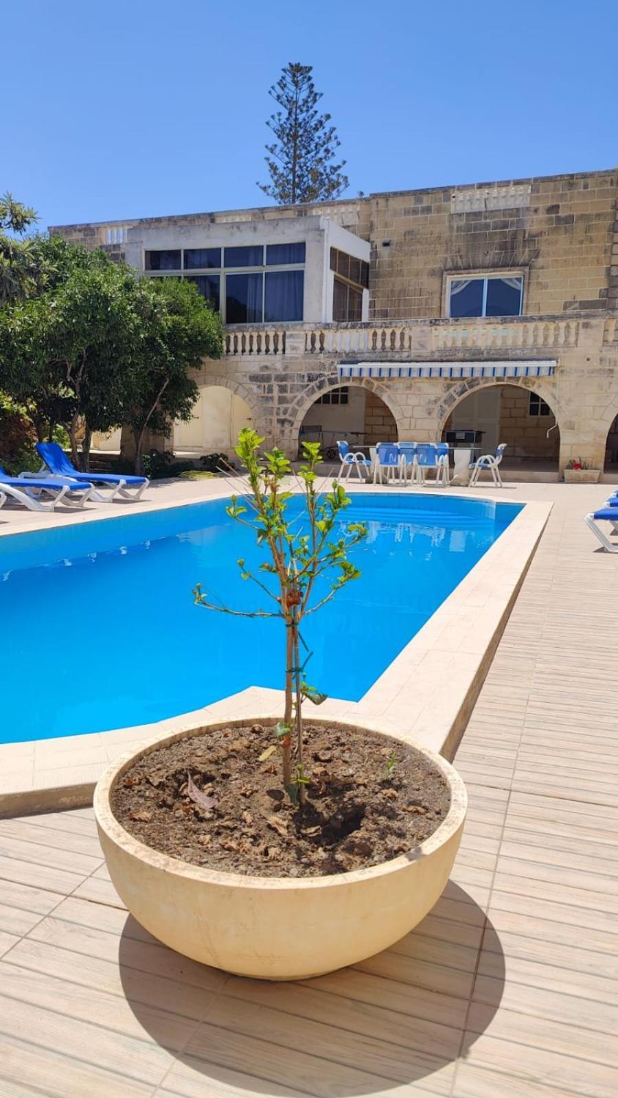 Stunning Villa With Pool, Table Tennis, Table Soccer And A Pool Table Naxxar Exteriör bild